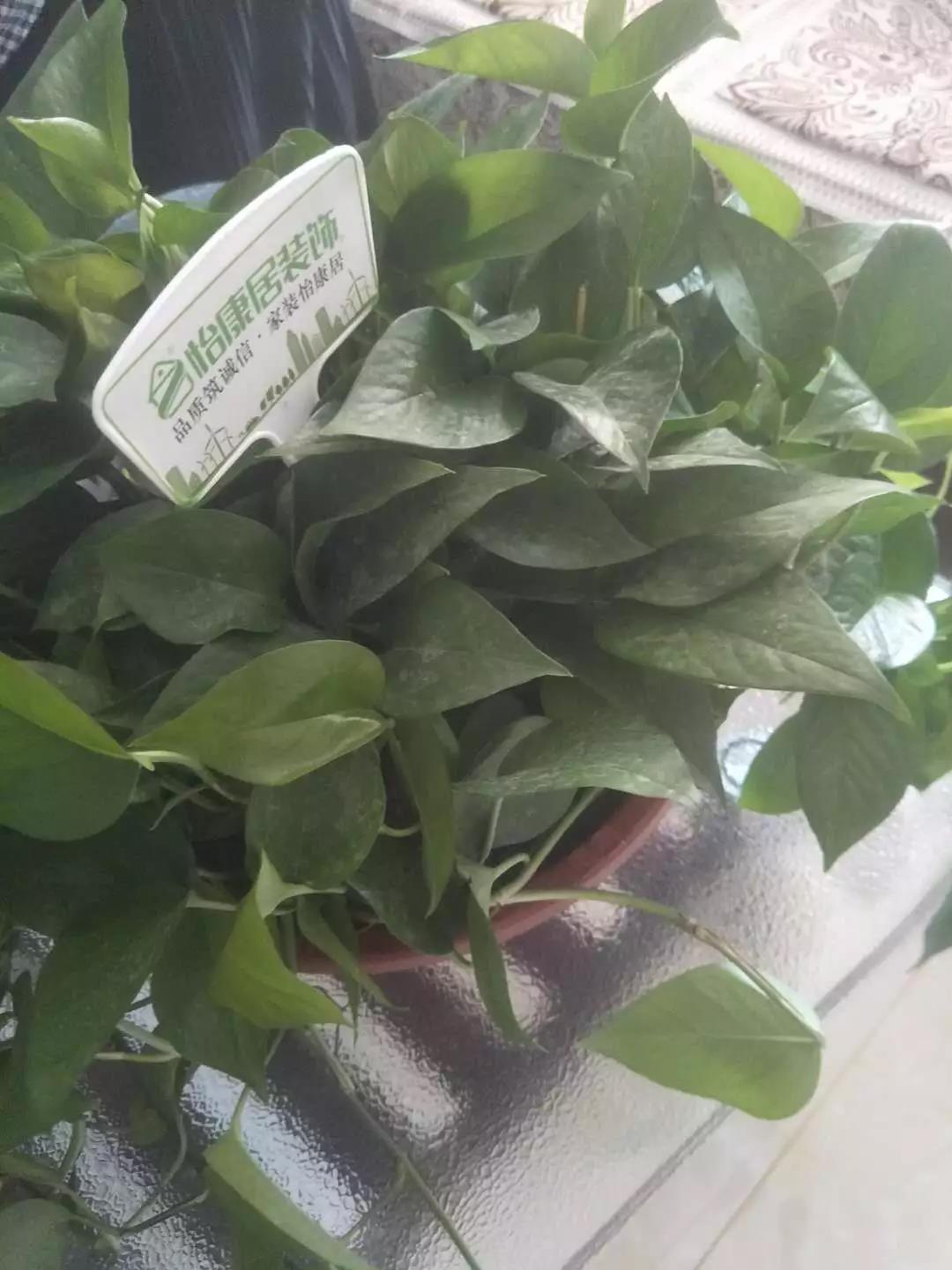 淄博装修公司